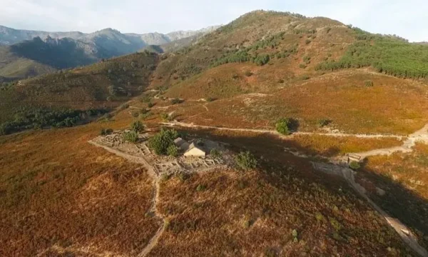 Castro del Raso